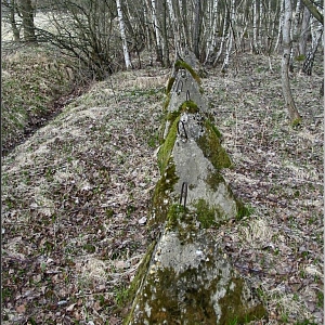 Pozůstatky po komunistické armádě; tzv. holubičky míru v lokalitě zaniklé osady.