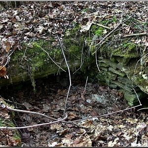 Detail nejvýraznějších sklepních pozůstatků po bývalé osadě.