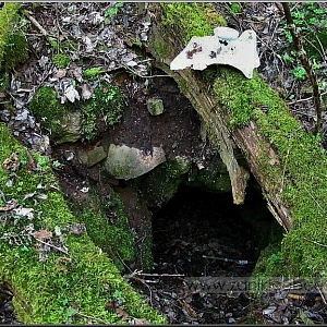 Pozůstatky základů a sklep vily-zámečku s keramickým zbytkem umyvadla či záchodu.