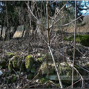 Zbytky základů samoty.