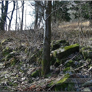 Zbytky základů a sutin po demolici samoty.