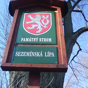 Památný strom.