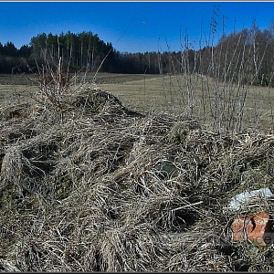 Skromné pozůstatky stavení na louce i se zbytky cihel.