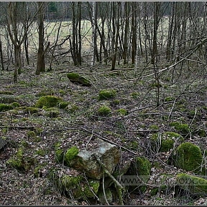 Pozůstatky rozstříleného stavení v areálu bývalé vojenské střelnice.