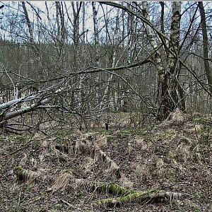 Pod hrází rybníčka v areálu bývalé vojenské střelnice.