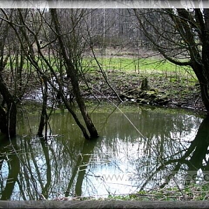 Rybníček vedle předešlých ruin.