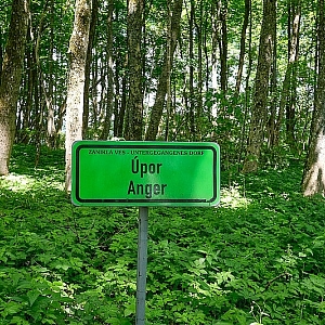 Úpor (Anger)