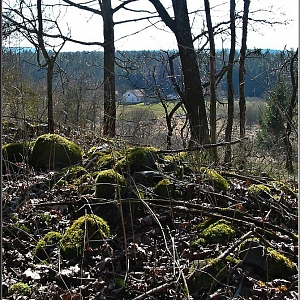 Švarcava / Schwarzau (463m) - stavení u hranice