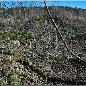 Švarcava / Schwarzau (463m) - stavení u hranice