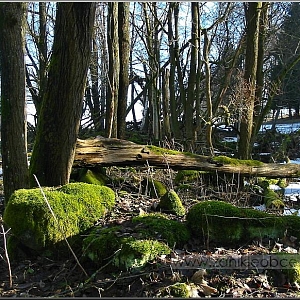 Stavební pozůstatky po demolici usedlosti č.p. 36.