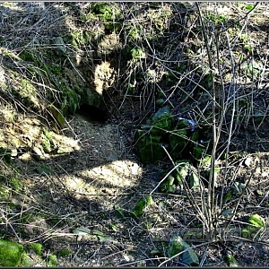 Sklep v jádru osady Kosteliště, nacházející se u cesty nad Kostelištským potokem směrem k Mlýnečku.