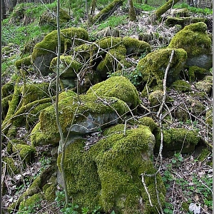 Prostor zaniklé vsi pod silnicí od Závisti se stavebními pozůstatkami po demolici stavení.