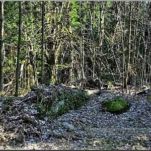 Pozůstatky po usedlosti vpravo u silničky od Pivoně.