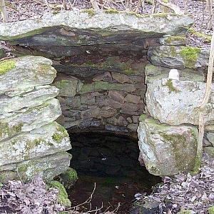 Liščí hora - studánka