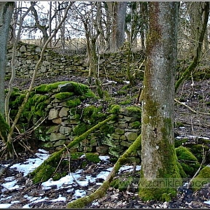 Malý Horšín (Klein Horschin)