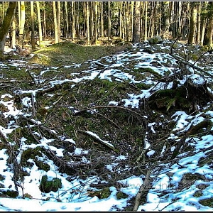 Prostor jedné ze tří samot s hromadou základových kamenů a propadlými sklepy.