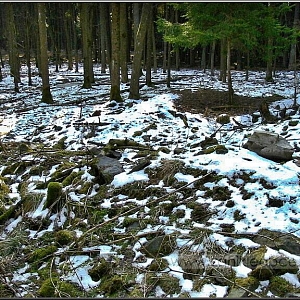 Sutiny rozbourané samoty.