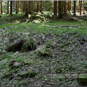 Prostor jedné ze zaniklé usedlosti se zbytkami stavebního materiálu po demolici.