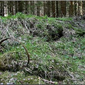 Pozůstatky základů a dobového nálezu v prostoru zaniklých samot.