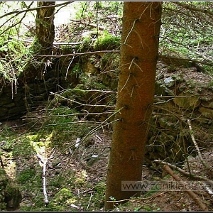 Nejvýraznější pozůstatek ze samot v podobě sklepa a základů.