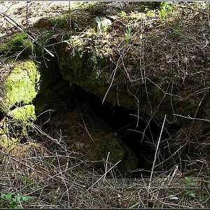 Nejvýraznější pozůstatek ze samot v podobě sklepa a základů.