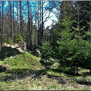 Celkový pohled na místo nejzachovalejší ruiny usedlosti z celé osady.