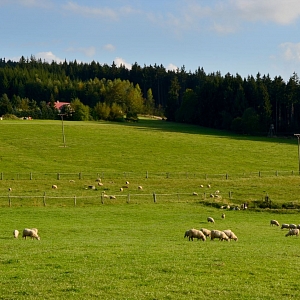 Pramen řeky Zubřiny 