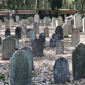 Ze Staňkova k židovskému hřbitovu, za národní kulturní památkou a zpět