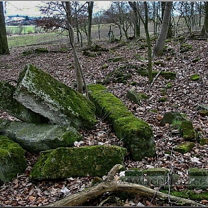 Pozůstatky po osadě s pozadím Všerub.