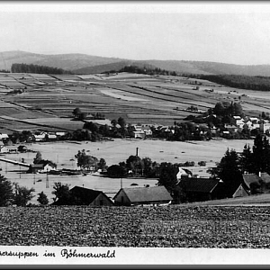 V popředí chalupy ulicové vísky Novosedly s pohledem přes pilu, Rodlův mlýn a Vilémov na Nemanice a v pozadí na Čerchov (1042m).