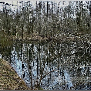 Rybníček v areálu bývalé vojenské střelnice.