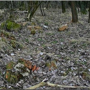 Celkový pohled na prostor samoty stojící při polní cestě od silnice Maxov-Spálenec.