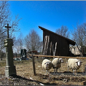 Starý sokl s obnoveným křížkem v pomyslném středu polozaniklé vísky, v místě pasoucích se ovcí stávala v prostoru kolny usedlost.