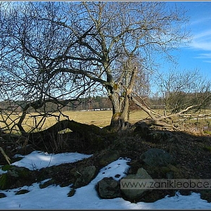 Prostor sutin po demolici usedlosti č.p. 37.