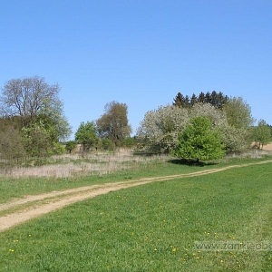 Kosteliště (Johanneskirchl)